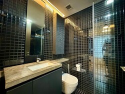 Skysuites@Anson (D2), Apartment #490335981